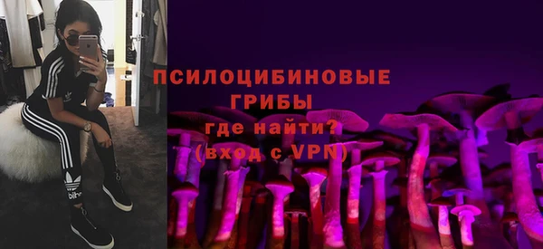 стаф Алексеевка