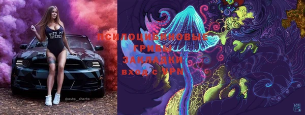 стаф Алексеевка