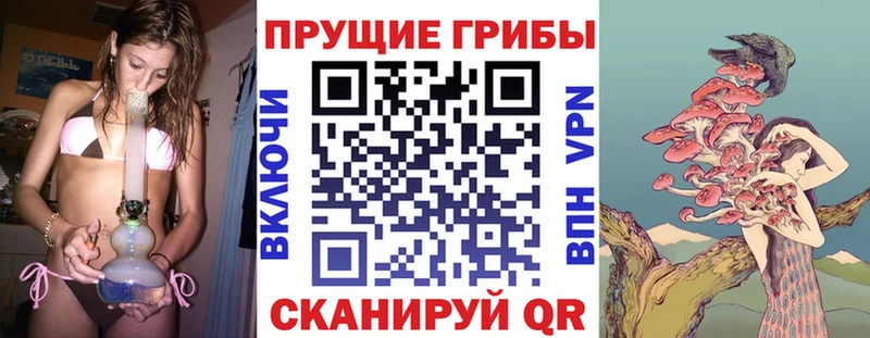 Галлюциногенные грибы Cubensis  MEGA как войти  Малаховка 